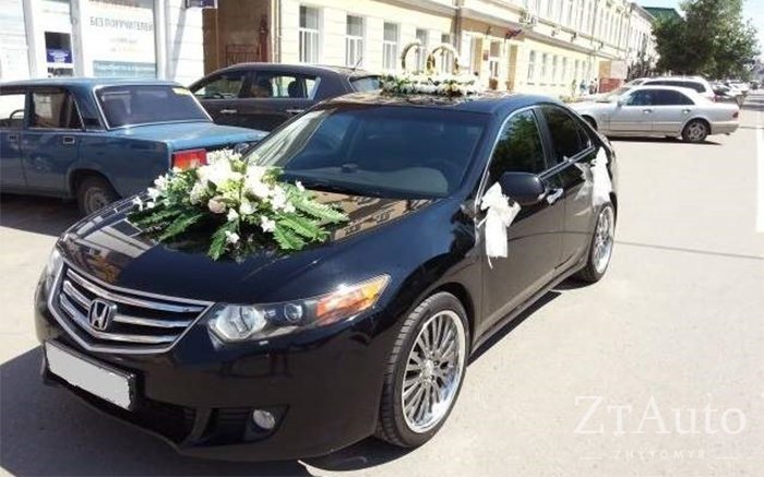 Аренда Honda Accord на свадьбу Житомир